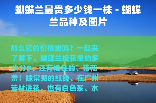 蝴蝶兰最贵多少钱一株 - 蝴蝶兰品种及图片