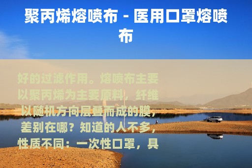 聚丙烯熔喷布 - 医用口罩熔喷布