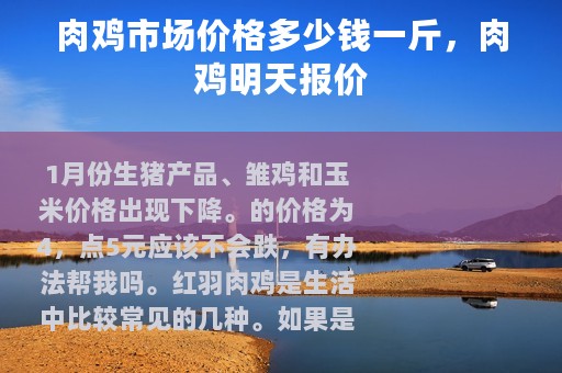 肉鸡市场价格多少钱一斤，肉鸡明天报价