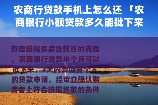 农商行贷款手机上怎么还 「农商银行小额贷款多久能批下来」