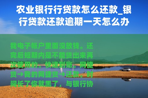 农业银行行贷款怎么还款_银行贷款还款逾期一天怎么办