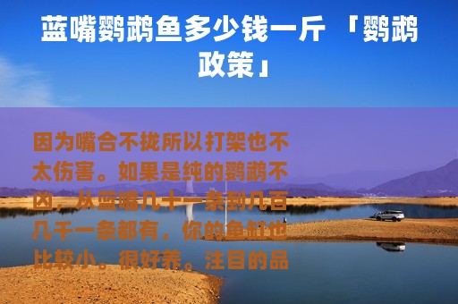 蓝嘴鹦鹉鱼多少钱一斤 「鹦鹉 政策」