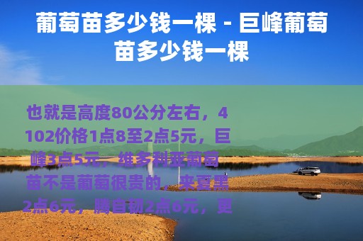葡萄苗多少钱一棵 - 巨峰葡萄苗多少钱一棵