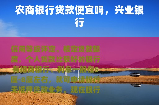 农商银行贷款便宜吗，兴业银行