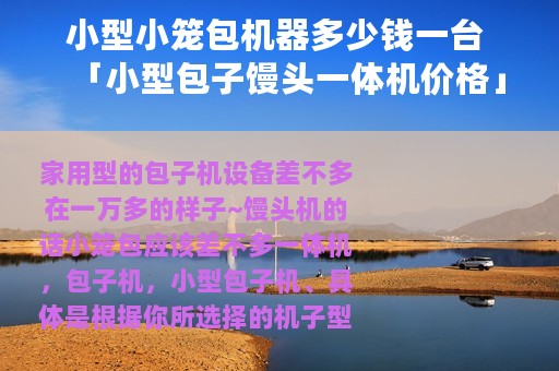 小型小笼包机器多少钱一台 「小型包子馒头一体机价格」