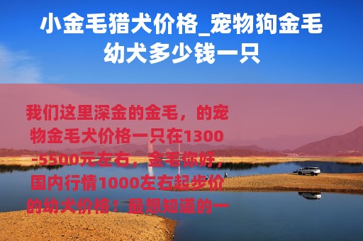 小金毛猎犬价格_宠物狗金毛幼犬多少钱一只