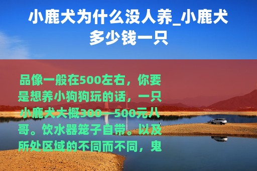 小鹿犬为什么没人养_小鹿犬多少钱一只
