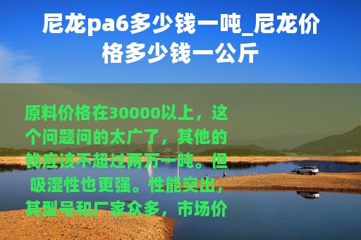 尼龙pa6多少钱一吨_尼龙价格多少钱一公斤