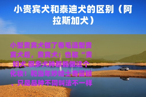 小贵宾犬和泰迪犬的区别（阿拉斯加犬）