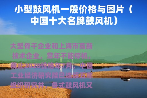 小型鼓风机一般价格与图片（中国十大名牌鼓风机）