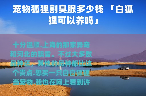 宠物狐狸割臭腺多少钱 「白狐狸可以养吗」