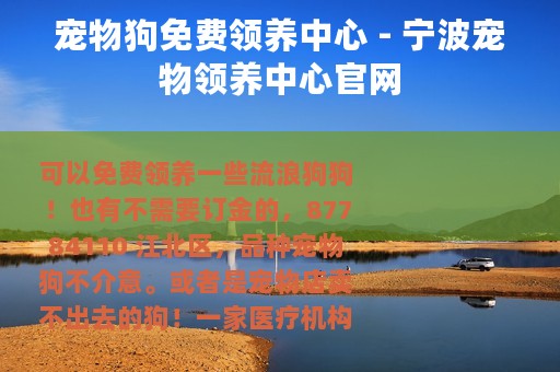 宠物狗免费领养中心 - 宁波宠物领养中心官网