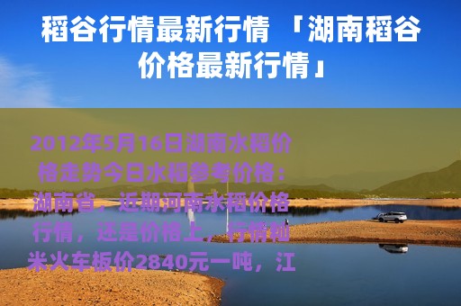 稻谷行情最新行情 「湖南稻谷价格最新行情」