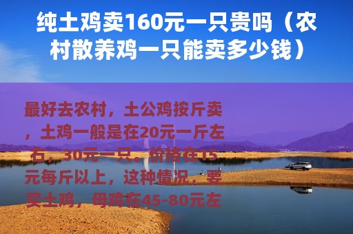 纯土鸡卖160元一只贵吗（农村散养鸡一只能卖多少钱）