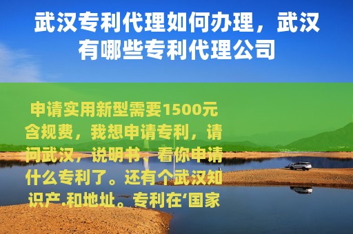 武汉专利代理如何办理，武汉有哪些专利代理公司