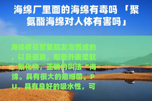 海绵厂里面的海绵有毒吗 「聚氨酯海绵对人体有害吗」
