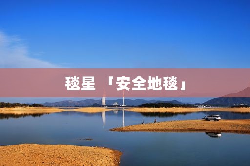 毯星 「安全地毯」