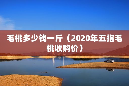 毛桃多少钱一斤（2020年五指毛桃收购价）