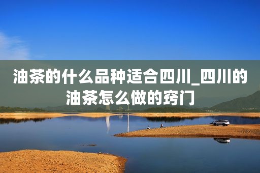 油茶的什么品种适合四川_四川的油茶怎么做的窍门
