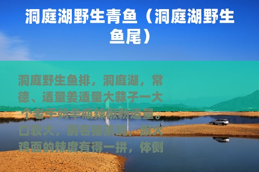 洞庭湖野生青鱼（洞庭湖野生鱼尾）