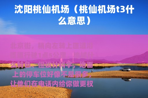 沈阳桃仙机场（桃仙机场t3什么意思）