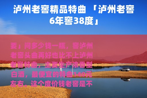 泸州老窖精品特曲 「泸州老窖6年窖38度」