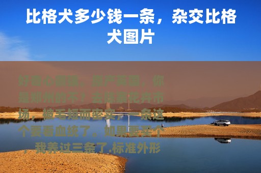 比格犬多少钱一条，杂交比格犬图片
