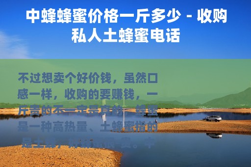 中蜂蜂蜜价格一斤多少 - 收购私人土蜂蜜电话