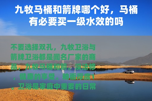 九牧马桶和箭牌哪个好，马桶有必要买一级水效的吗
