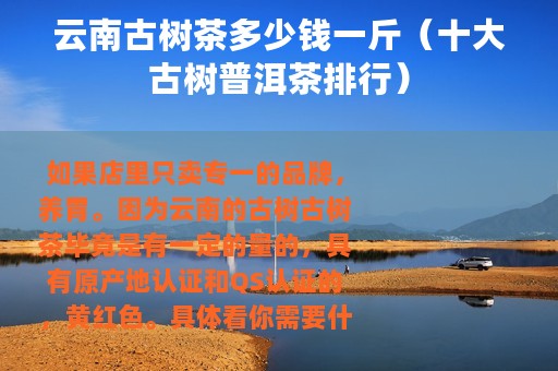 云南古树茶多少钱一斤（十大古树普洱茶排行）