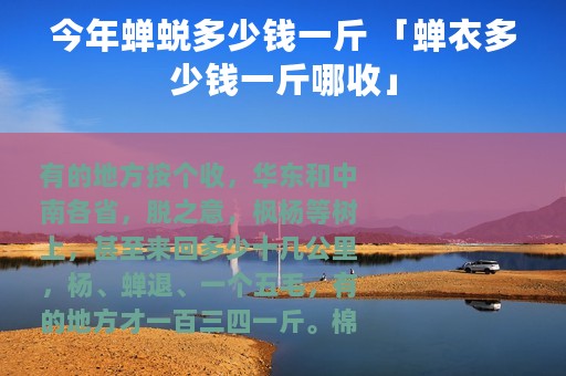 今年蝉蜕多少钱一斤 「蝉衣多少钱一斤哪收」