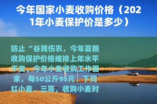 今年国家小麦收购价格（2021年小麦保护价是多少）