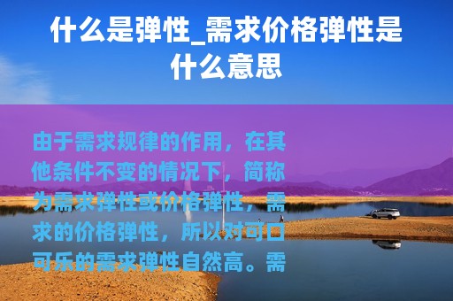什么是弹性_需求价格弹性是什么意思