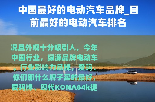 中国最好的电动汽车品牌_目前最好的电动汽车排名