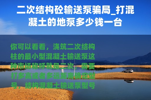 二次结构砼输送泵骗局_打混凝土的地泵多少钱一台