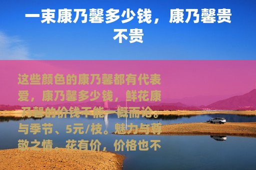 一束康乃馨多少钱，康乃馨贵不贵