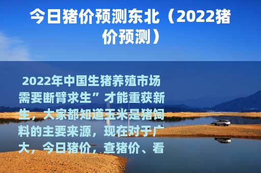 今日猪价预测东北（2022猪价预测）