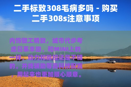 二手标致308毛病多吗 - 购买二手308s注意事项