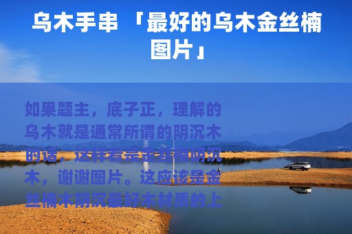 乌木手串 「最好的乌木金丝楠图片」