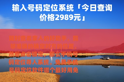 输入号码定位系统「今日查询价格2989元」