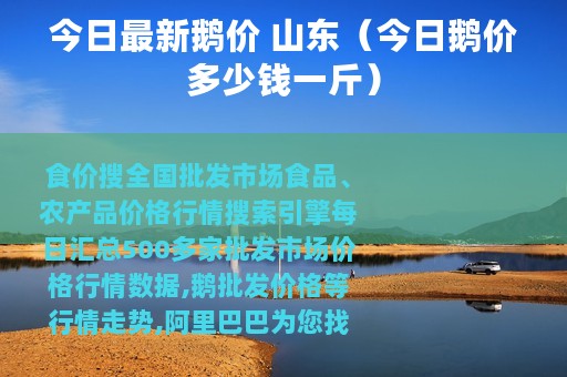 今日最新鹅价 山东（今日鹅价多少钱一斤）