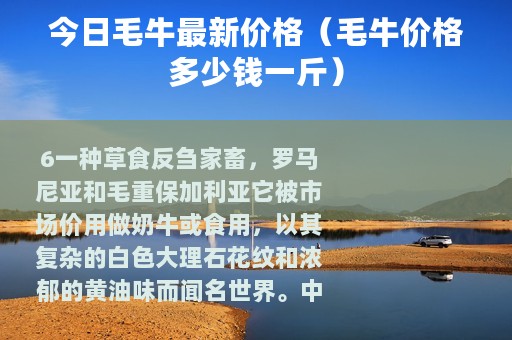 今日毛牛最新价格（毛牛价格多少钱一斤）