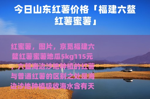 今日山东红薯价格「福建六鳌红薯蜜薯」