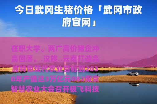 今日武冈生猪价格「武冈市政府官网」