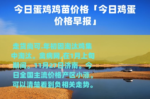 今日蛋鸡鸡苗价格「今日鸡蛋价格早报」