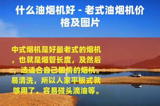 什么油烟机好 - 老式油烟机价格及图片