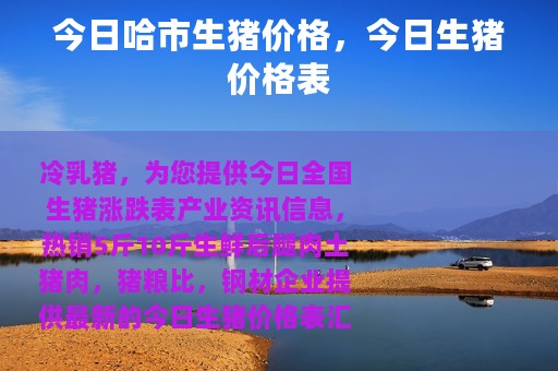 今日哈市生猪价格，今日生猪价格表