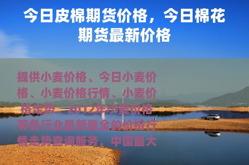 今日皮棉期货价格，今日棉花期货最新价格