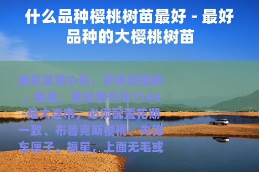 什么品种樱桃树苗最好 - 最好品种的大樱桃树苗