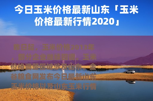 今日玉米价格最新山东「玉米价格最新行情2020」